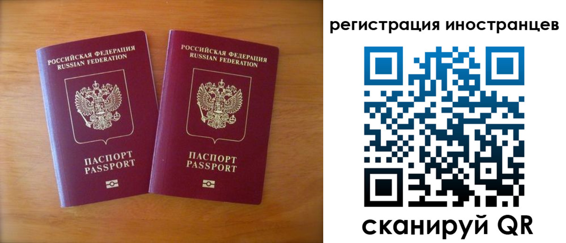 прописка поиск в Далматово